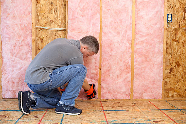 Best Commercial Insulation in South Apopka, FL