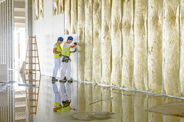 Best Types of Insulation in South Apopka, FL